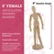 Wood 8" Artist Drawing Manikin Articulated Mannequin with Base and Flexible Body - Perfect For Drawing the Human Figure (8" Female)